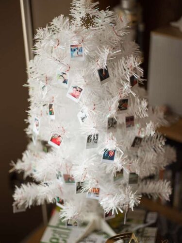 Mini Polaroid Ornament Tree!